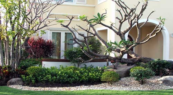 หลักการเลือกพันธุ์ไม้ให้เหมาะสมกับทิศ