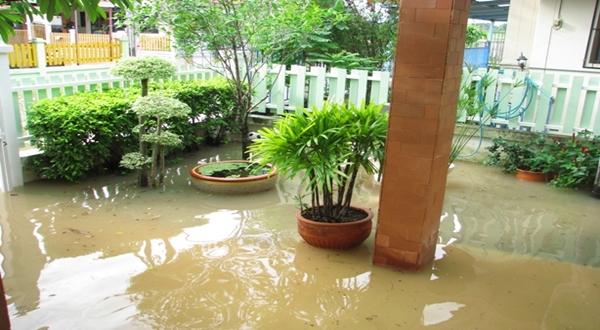 ตรวจรั้วบ้านหลังน้ำลด