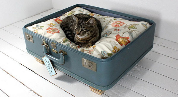 ที่นอนกระเป๋าสำหรับแมวเหมียว