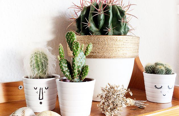 จัดกระถางต้นไม้เล็กๆ ประดับบ้าน