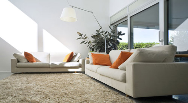 เคล็ดลับ...ขจัดคราบพรม