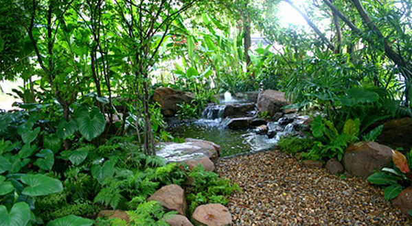 การดูแลรักษาสวน