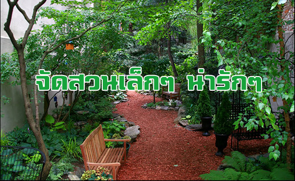 จัดสวนเล็กๆ น่ารักๆ