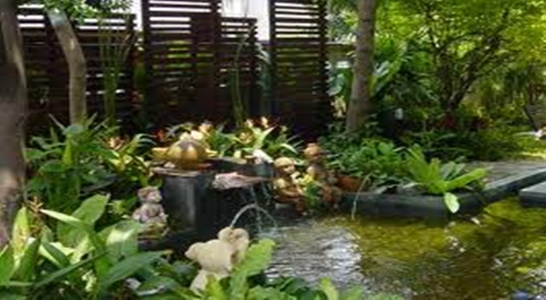 วิธีช่วยต้นไม้หลังโดนน้ำท่วม...