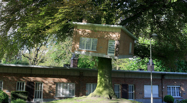 บ้านต้นไม้ ในเบลเยียม 