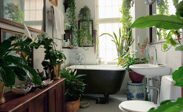 จัดสวนสวย ในห้องน้ำ