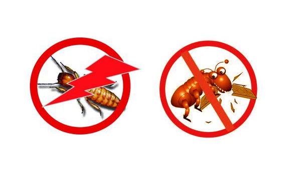 กำจัดปลวกด้วยสมุนไพร