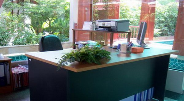 10 ไม้ประดับควรมีบนโต๊ะทำงาน 