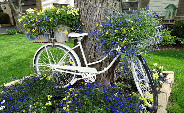 จัดสวนสวย ด้วยจักรยานที่ไม่ใช้แล้ว