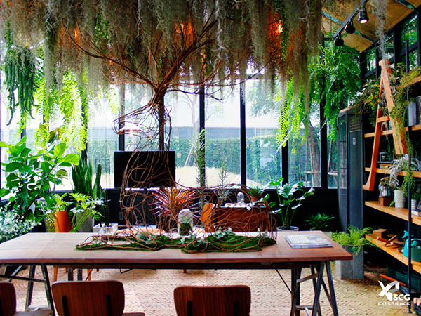 ไอเดียจัดสวนในบ้านแบบเรือนกระจก 1
