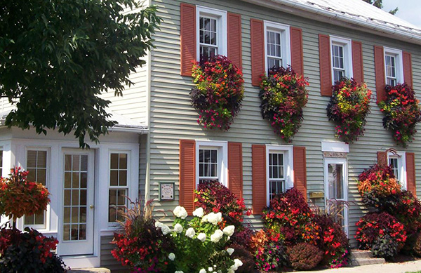 ปลูกดอกไม้ริมหน้าต่าง