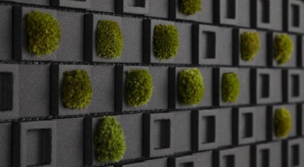 กระเบื้องแต่งห้องจากญี่ปุ่น