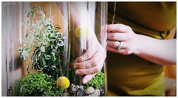 การทำสวนในขวด แสนสวย