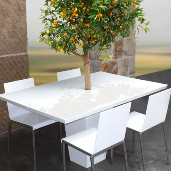 โต๊ะอาหาร เฟอร์นิเจอร์ ปลูกต้นไม้ กระถางต้นไม้ โต๊ะอาหาร เฟอร์นิเจอร์ ปลูกต้นไม้ กระถางต้นไม้