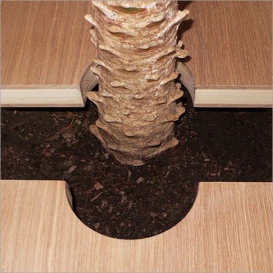 โต๊ะอาหาร เฟอร์นิเจอร์ ปลูกต้นไม้ กระถางต้นไม้ โต๊ะอาหาร เฟอร์นิเจอร์ ปลูกต้นไม้ กระถางต้นไม้