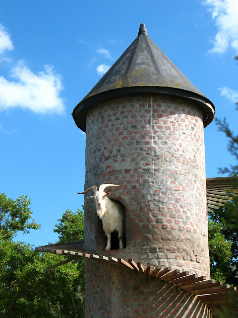 บ้านแพะ Tower Goat