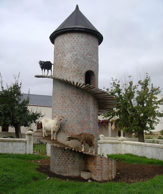 บ้านแพะ Tower Goat