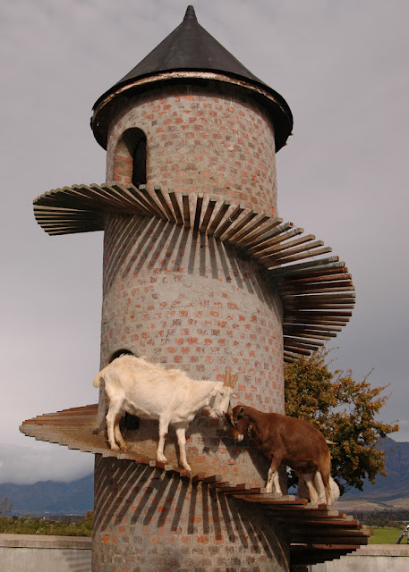 บ้านแพะ Tower Goat