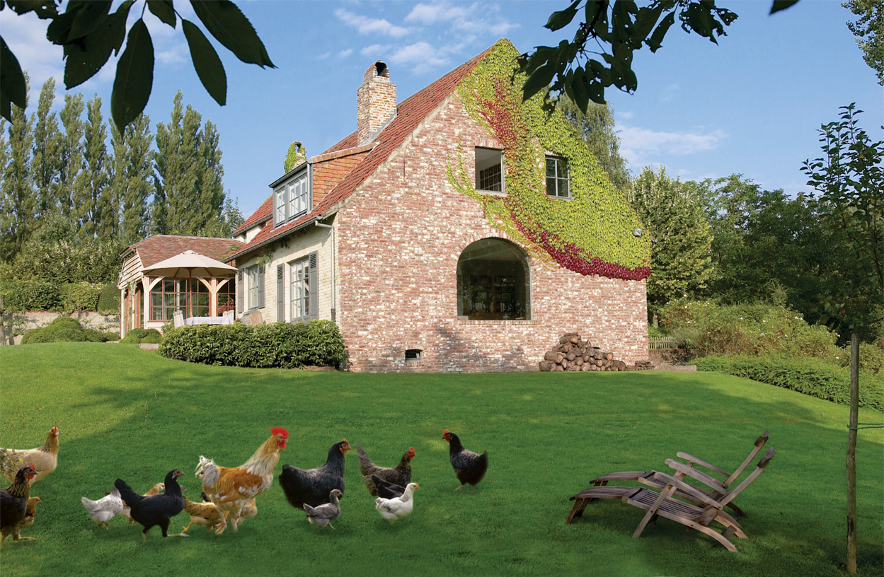 บ้าน สวน เก้าอี้ไม้