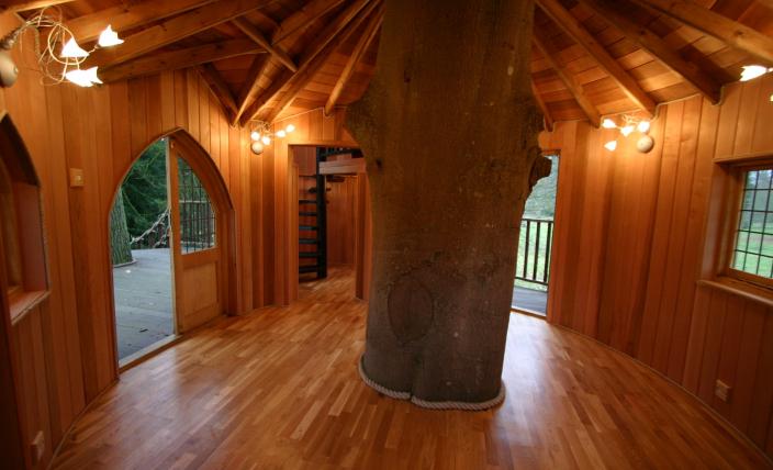 พื้นไม้ พื้นไม้