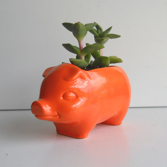 การทำสวนจิ๋ว การทำสวนจิ๋ว