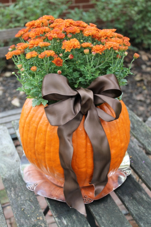 กระถางฝักทอง