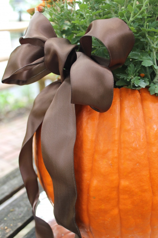 กระถางต้นไม้จากธรรมชาติ