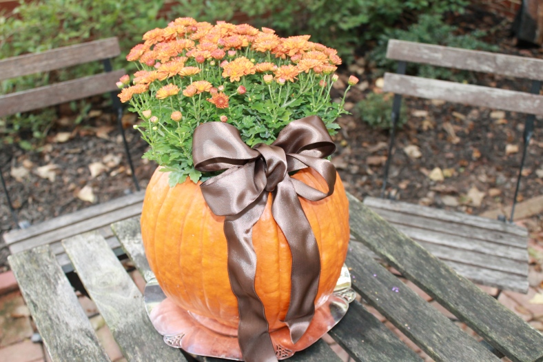 ไอเดียกระถาง