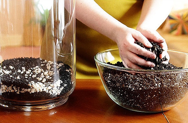 ดินผสม ดินผสม