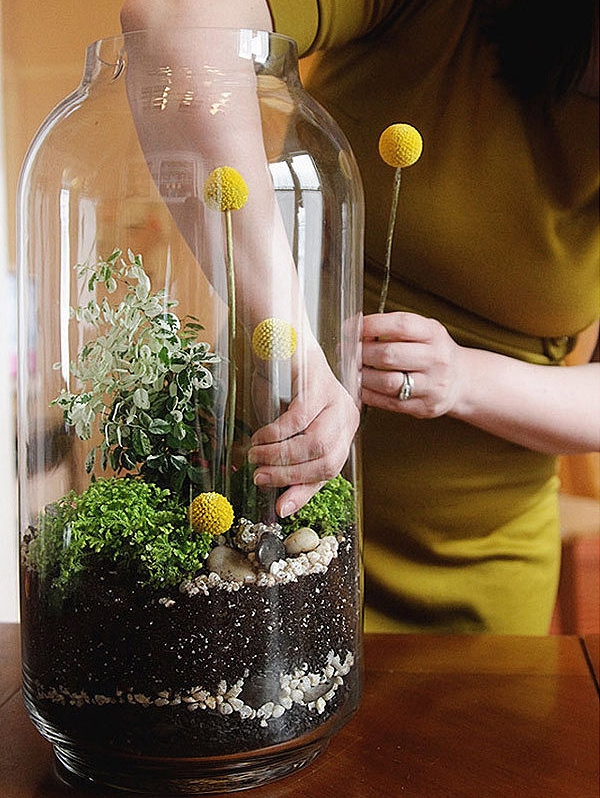 ไอเดียการทำสวนขวด ไอเดียการทำสวนขวด