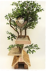 ที่พักสำหรับสัตว์เลี้ยง ที่พักสำหรับสัตว์เลี้ยง