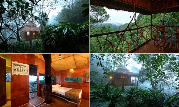 บ้านธรรมชาติ บ้านธรรมชาติ