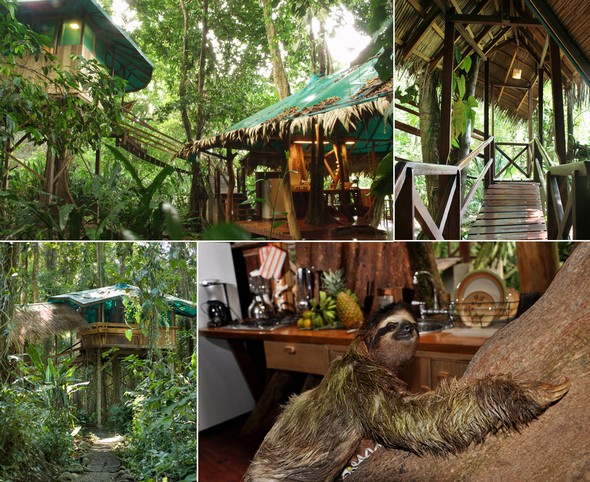 บ้านทาร์ซาน บ้านทาร์ซาน