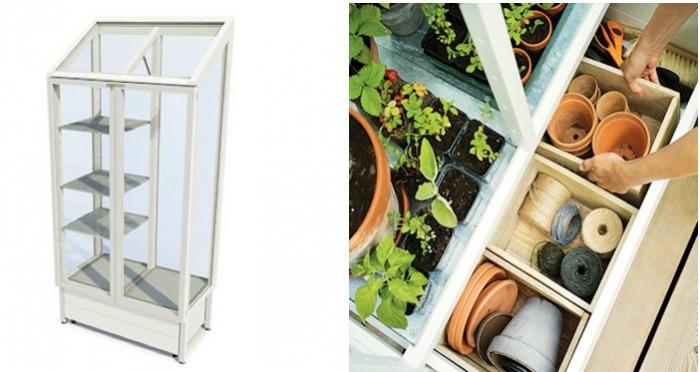 จัดสวนในตู้กระจก จัดสวนในตู้กระจก