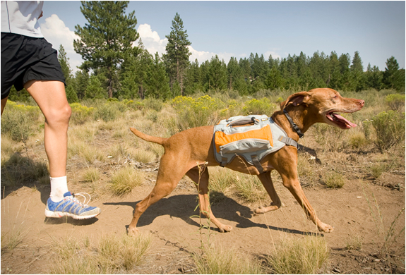 กระเป๋าสุนัข กระเป๋าสุนัข