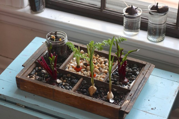 ไอเดียการจัดสวนในบ้าน