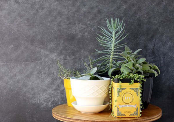 จัดสวนสวยในบ้าน