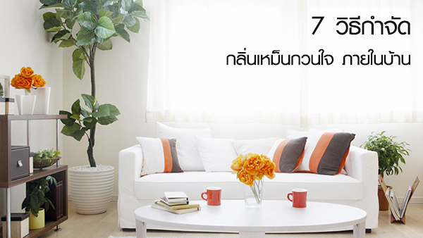 วิธีกำจัดกลิ่นภายในบ้าน