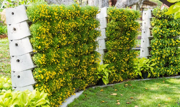 ตกแต่งรั้วด้วยดอกไม้ ตกแต่งรั้วด้วยดอกไม้