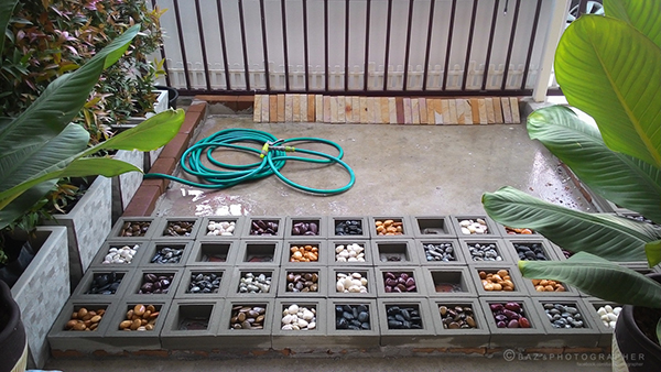 จัดสวนหน้าบ้าน จัดสวนหน้าบ้าน