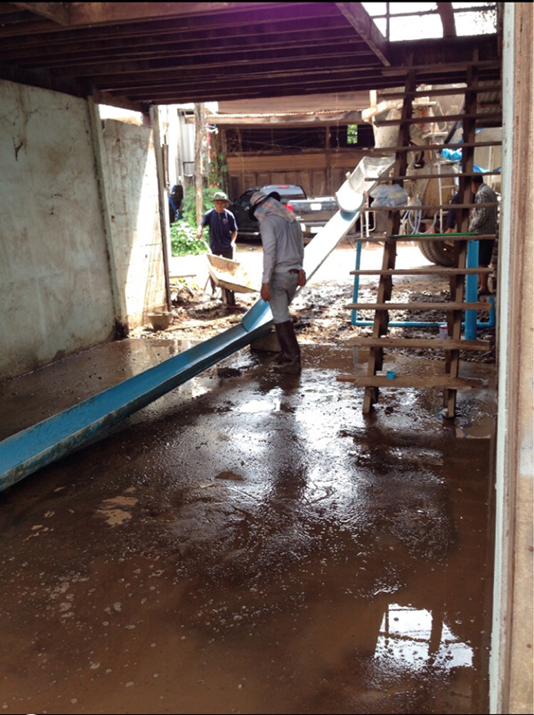 ไอเดียการรีโนเวท