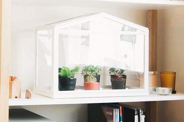 ไอเดียแต่งบ้าน ไอเดียแต่งบ้าน