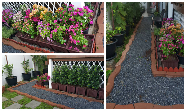 จัดสวนข้างบ้าน