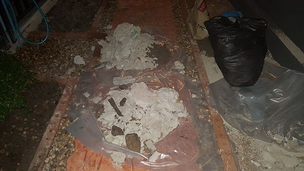 จัดสวน จัดสวน