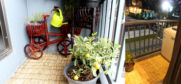 สวนริมระเบียง