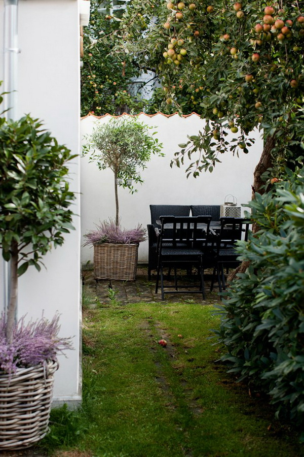 สวนหลังบ้าน