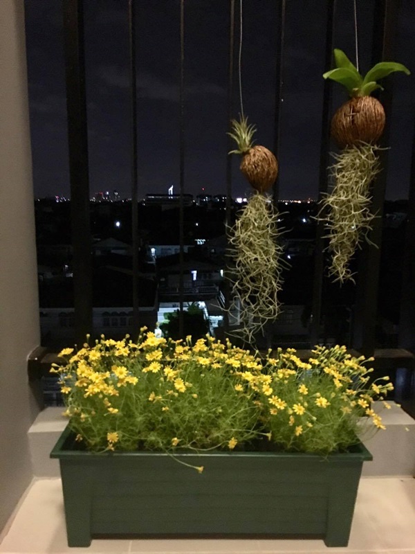 จัดสวนระเบียงคอนโด