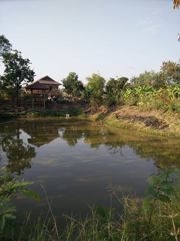 บ่อน้ำ บ่อน้ำ