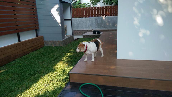 จัดสวนสวย