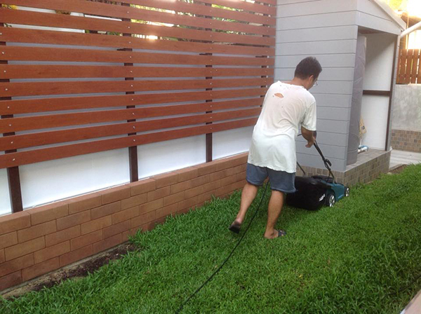 สวนข้างบ้าน